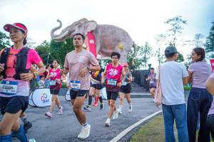 BIB: 
                            <button type="button" onclick="openModal(26551666)" class="btn btn-primary btn-sm float-right btn-popup" data-toggle="modal" data-target=".modal-high-quality">
                        <i class="fas fa-shopping-cart"></i> Add to Cart
                    </button>
                                            <button type="button" onclick="isThisMe(26551666, true)" class="btn btn-success btn-sm float-right btn-popup btn-isme hidden" data-toggle="tooltip" data-placement="bottom" title="นี่คือรูปของคุณใช่ไหม คลิกที่นี่เพื่อเอาเข้าอัลบั้ม">
                        <i class="fas fa-plus"></i> Add to album
                    </button>
                    <button type="button" onclick="isThisMe(26551666, false)" class="btn btn-warning btn-sm float-right btn-popup btn-isnotme hidden">
                        <i class="fas fa-ban"></i> Remove from album
                    </button>